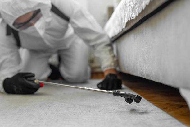 Professional Termite Control technician working in Newport, DE