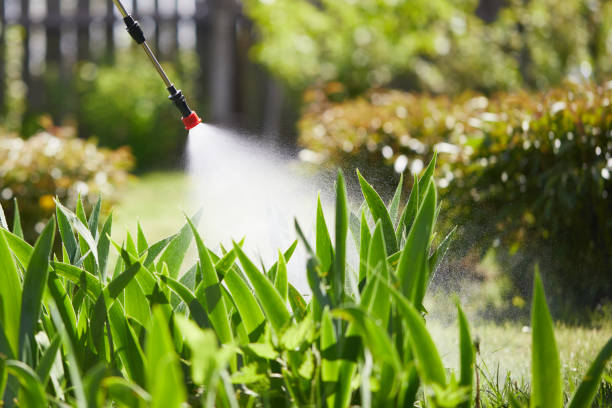 24/7 Emergency Termite Control experts in Newport, DE